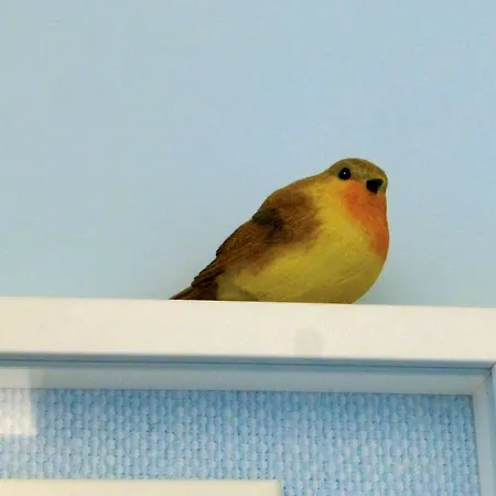 Porta San Frediano Appartamento