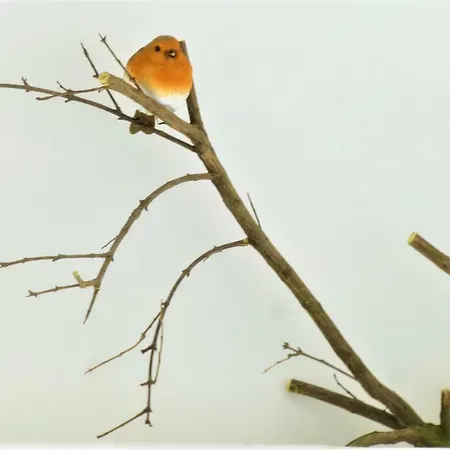 Porta San Frediano Appartamento *